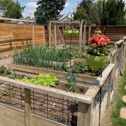 Magnolia Landscaping