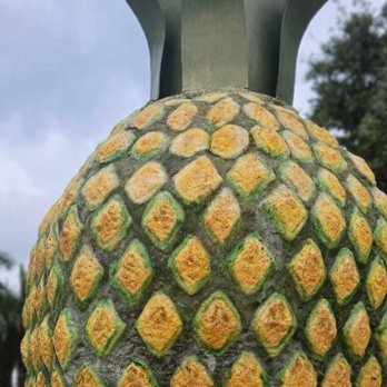 Pineapple Bench - Public Art Near Me - Delray Beach, Florida Pineapple Bench - Public Art Near Me - Delray Beach, Florida