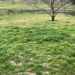 Hired in early 2018.  This is my yard March 2019.