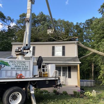 Precision Cutting Services - Precision Cutting Services truck removing tree - Tree Services Near Me - New Haven, Connecticut Precision Cutting Services - Precision Cutting Services truck removing tree - Tree Services Near Me - New Haven, Connecticut