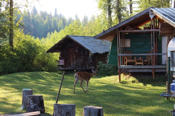 Glacier Guides and Montana Raft by null