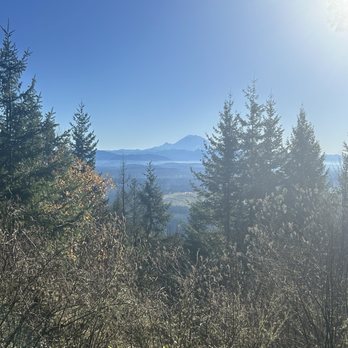 Squak Mountain State Park - Hiking Near Me - Issaquah, Washington