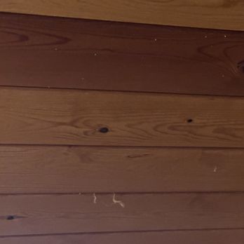 Red Canyon Cabins - Spiderwebs and dust hanging from the ceiling - Hotels Near Me - Kanab, Utah