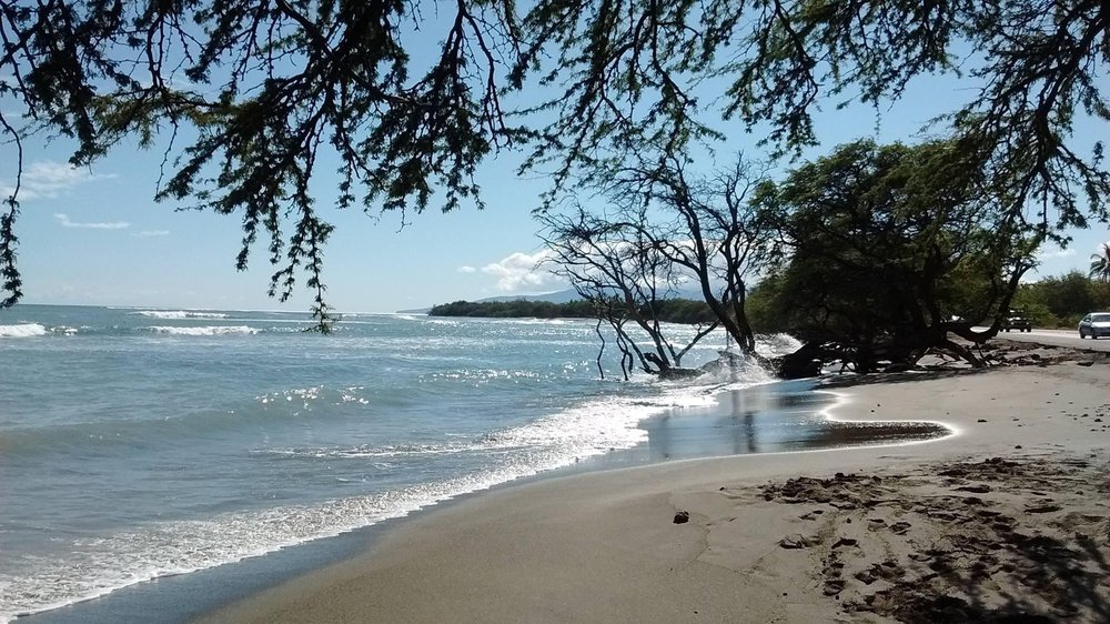 SEW AND SEW Maui, Hawaii Sewing & Alterations Phone Number Yelp