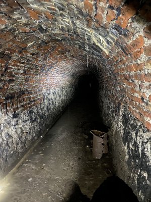 Victoria Tunnel Tours by null