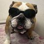 Photo of Bayonne Veterinary Medical