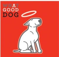What A Good Dog - pet boarding facility in Malvern, PA