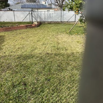 J & R Tree & Lawn Care - After the clean up - Lawn Services Near Me J & R Tree & Lawn Care - After the clean up - Lawn Services Near Me