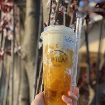 TP TEA - Mango cheese cream - Coffee & Tea Near Me - Berkeley, California