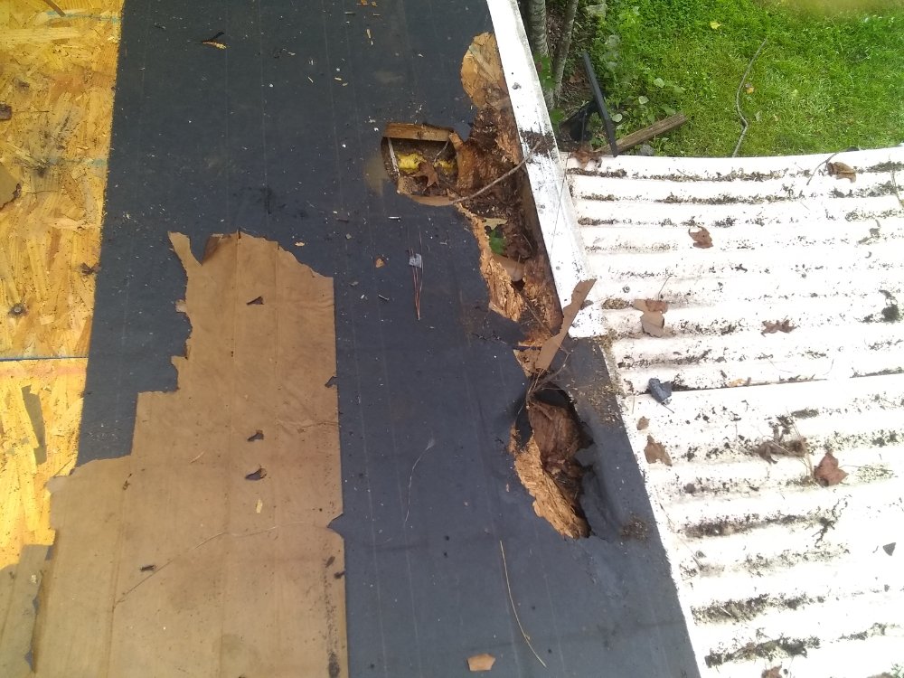 Slide of MV Roofing And Tree Services