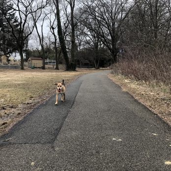 Newton Lake Park - Parks Near Me - Collingswood, New Jersey