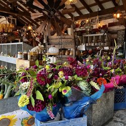 Marshall's Farm Market - Fresh flowers