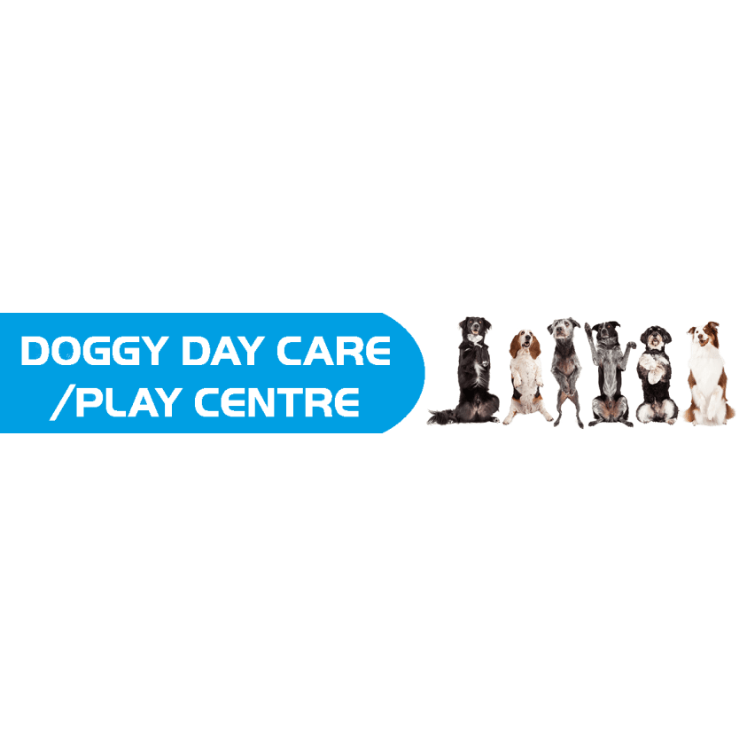 doggy day centre