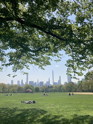 The Great Lawn by null