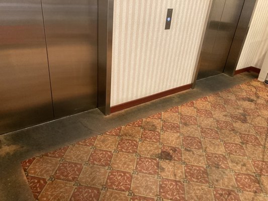 Metro Plaza Hotel by null