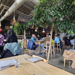 Busy Sunday Brunch