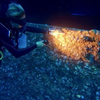 Dive Oahu - Snorkeling Near Me - Honolulu, Hawaii
