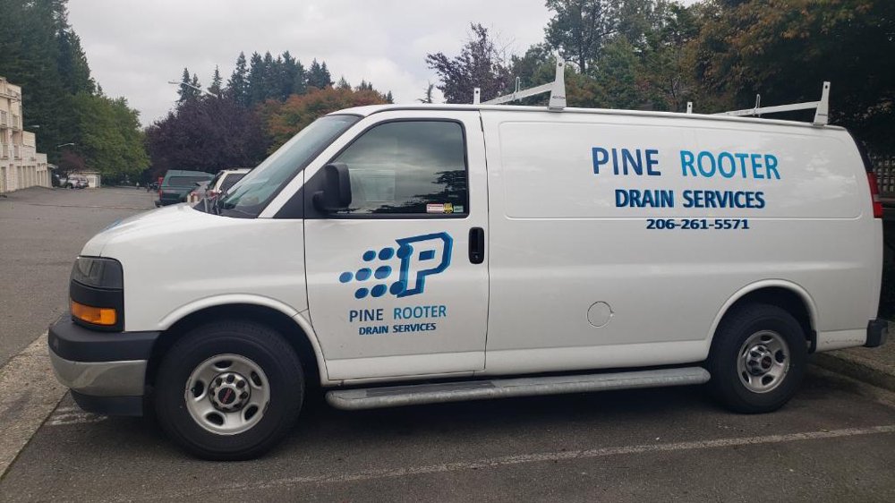 Slide of Pine Rooter