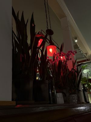 Chais Delachaise by null