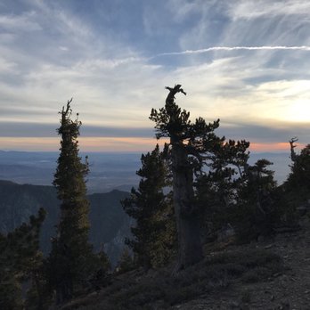 San Bernardino Peak - View from San Bernardino peak - Hiking Near Me San Bernardino Peak - View from San Bernardino peak - Hiking Near Me