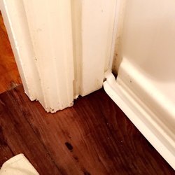 Lowe's Home Improvement