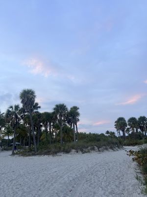 Crandon Park by null