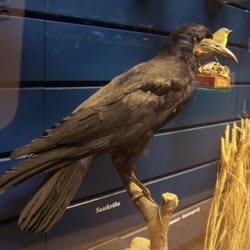 Dr.-Carl-Häberlin-Friesen-Museum