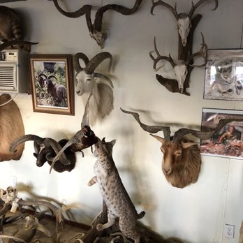 The Wildlife Ranch - Hunting & Fishing Supplies Near Me - Mason, Texas
