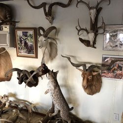The Wildlife Ranch