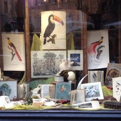 Antica Libreria Cascianelli