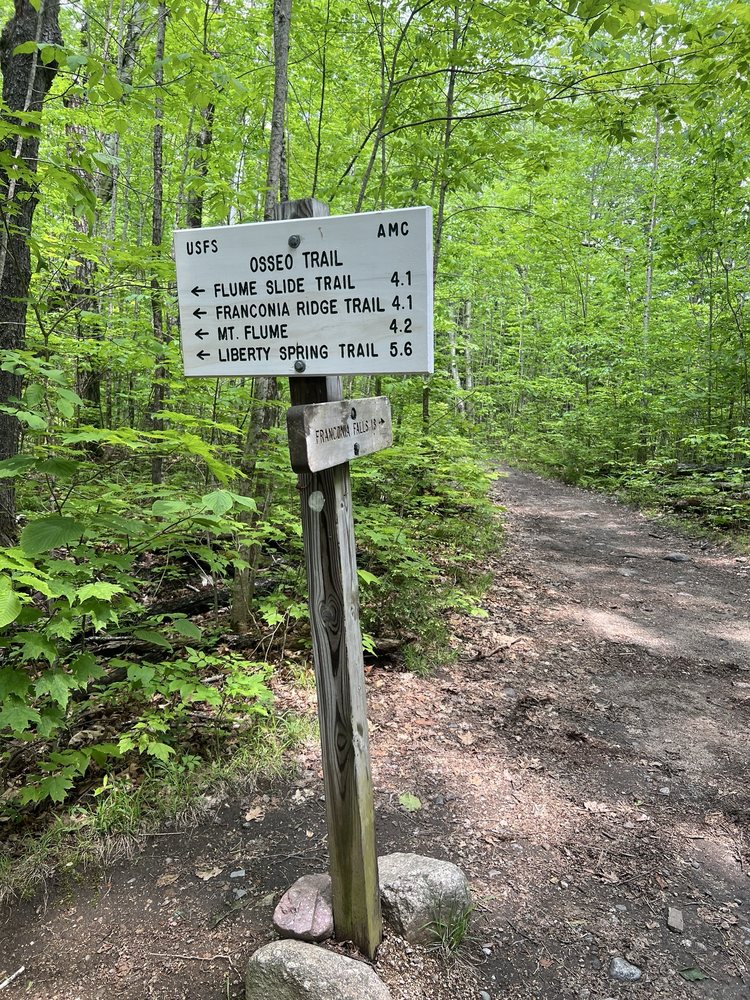 Lincoln Woods Trail Logo