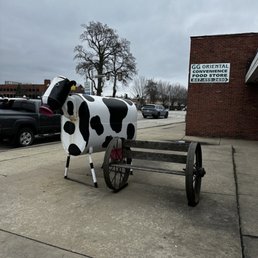 The beautiful cow The beautiful cow