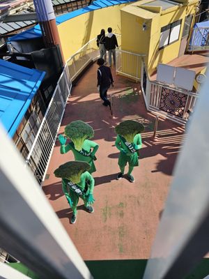 Asakusa Hanayashiki by null