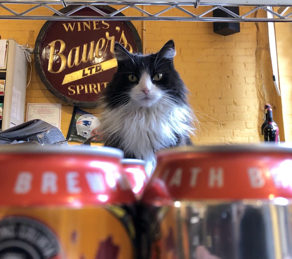 BAUER WINE & SPIRITS 36 Photos & 90 Reviews Beer, Wine & Spirits