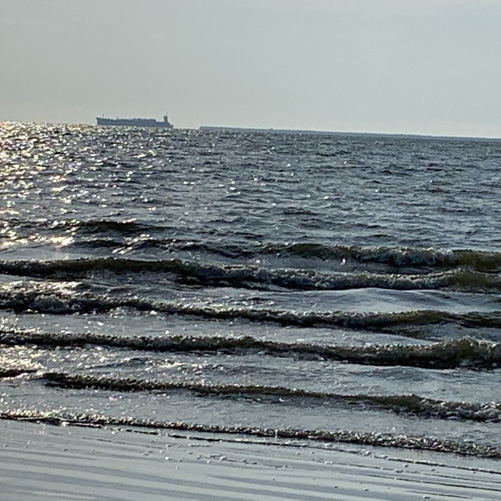 El Jardin Del Mar - El Jardin Del Mar - Beaches Near Me - Seabrook, Texas