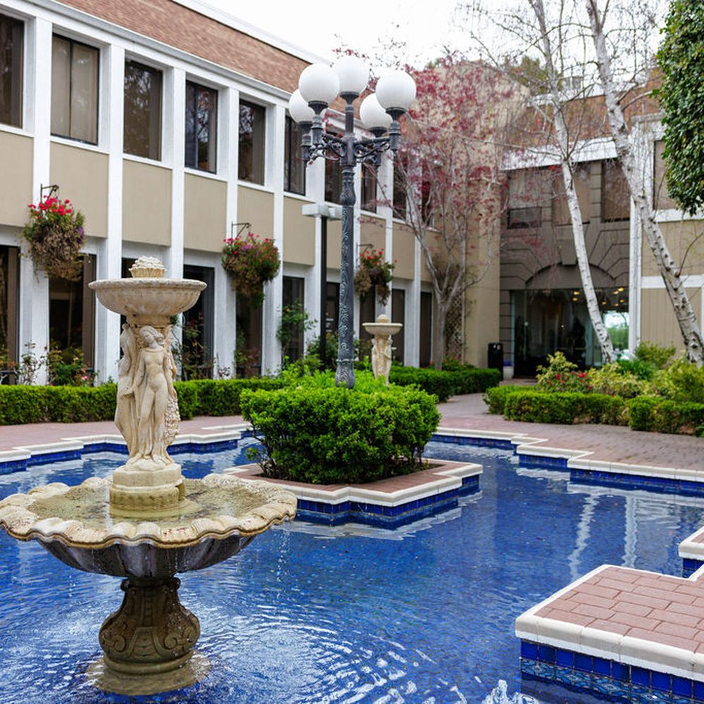 THE BEST 10 ACCOUNTANTS in LARKSPUR, CA - Updated 2026 - Hours - Yelp