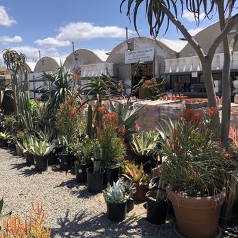 OC Succulents - Nurseries & Gardening Near Me - Irvine, California OC Succulents - Nurseries & Gardening Near Me - Irvine, California