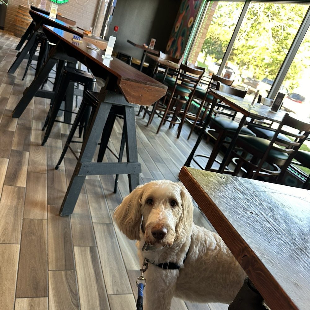 We went when they just opened, & had some real quality time to discuss options. We went when they just opened, & had some real quality time to discuss options.