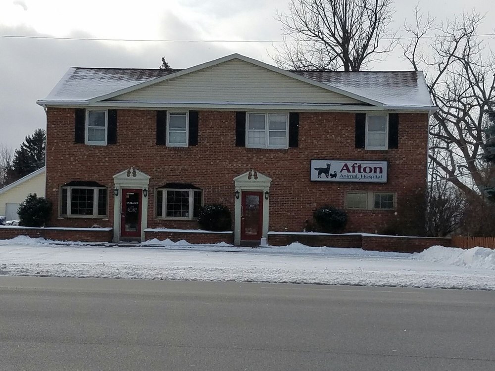 AFTON ANIMAL HOSPITALWILLIAMSVILLE Updated May 2024 6543 Main St