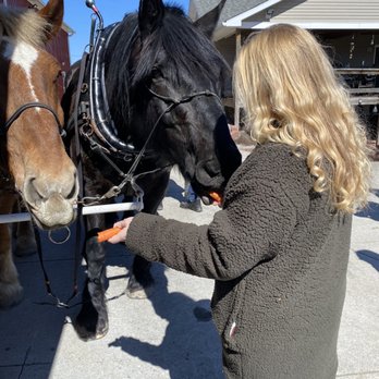 Andrusz Carriage Service - Funeral Services & Cemeteries Near Me - Akron, New York Andrusz Carriage Service - Funeral Services & Cemeteries Near Me - Akron, New York
