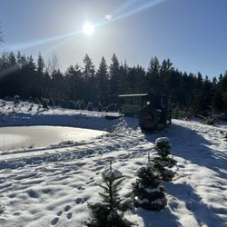 Crystal Creek Tree Farm