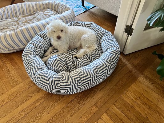 For Your Dogs Only - FYDO Manufacturer of pet beds by null