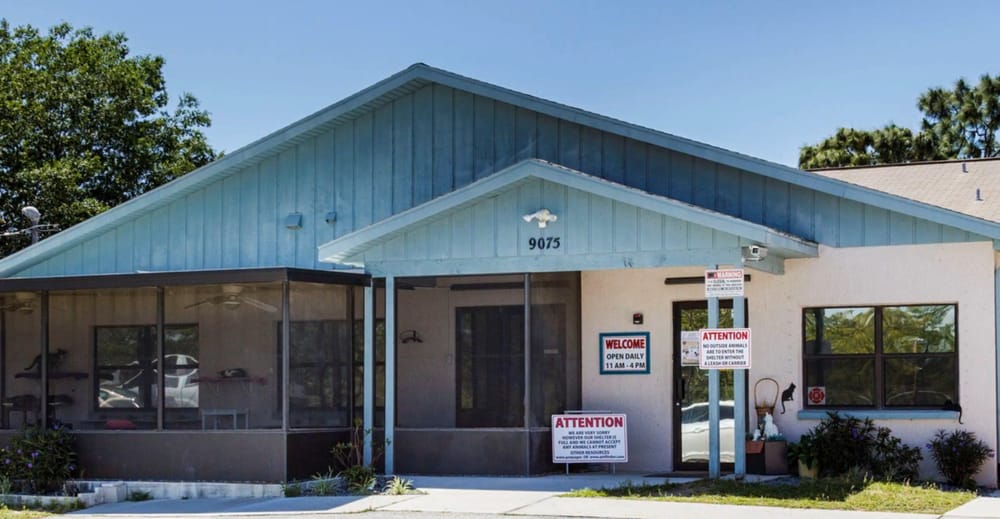 SPCA of Hernando County Image