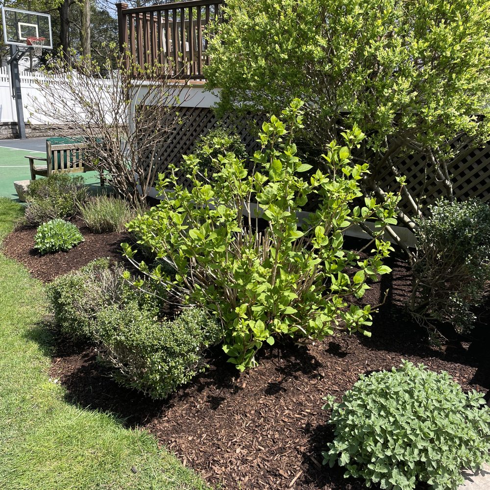 Peter Breen Bark Mulch - Landscaping Near Me - North Andover, Massachusetts Peter Breen Bark Mulch - Landscaping Near Me - North Andover, Massachusetts