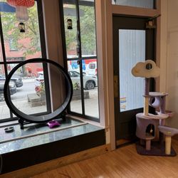 Alley Cat Cafe