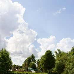 Dragonfly Park - A sunny texas afternoon