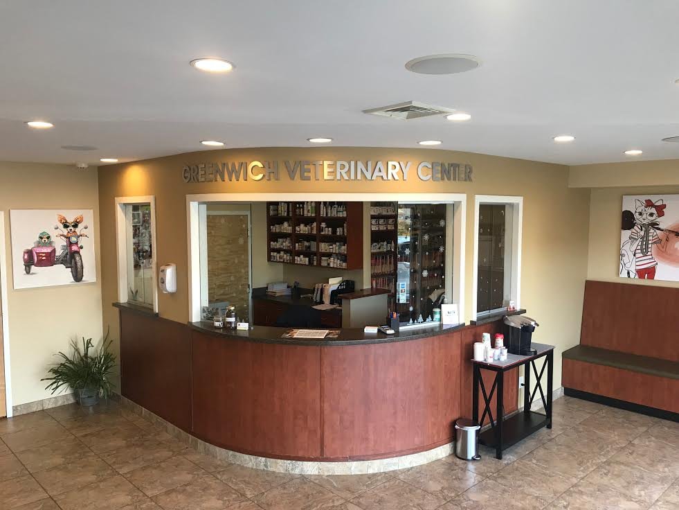 Greenwich Veterinary Center - pet boarding facility in Greenwich, CT