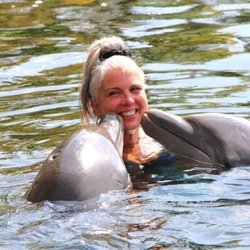 Dolphin swim