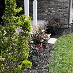 Frederick Lawn Care
