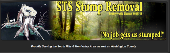 STS Stump Removal - tree service in Bethel Park, PA